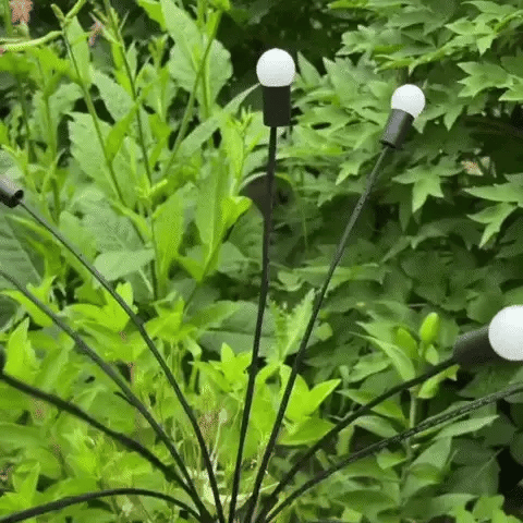 Enchanting Firefly Lights : Unique Solar Powered Garden Lights
